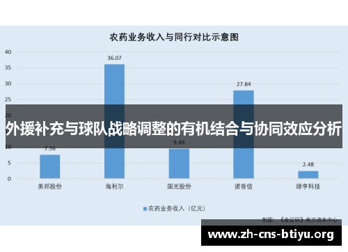 外援补充与球队战略调整的有机结合与协同效应分析