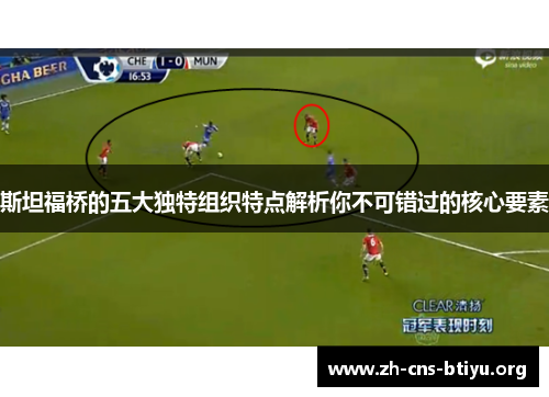 斯坦福桥的五大独特组织特点解析你不可错过的核心要素